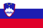 Slovenia flag